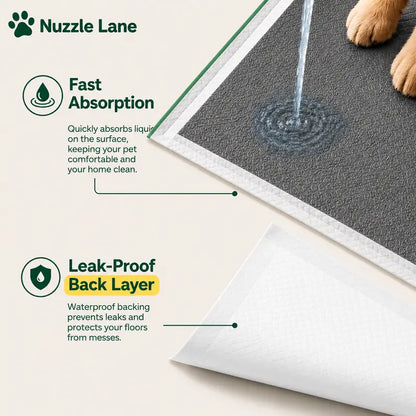 Premium Disposable Puppy Training Pads with Carbon Layer - Quick-Dry and Leakproof Solution for Effective Housebreaking