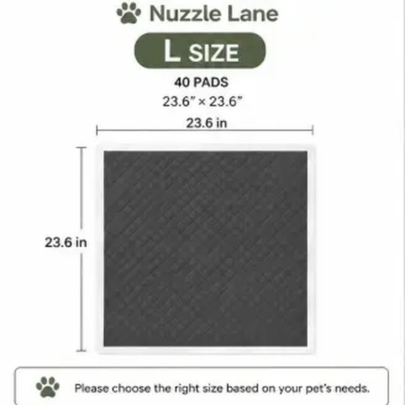 Premium Disposable Puppy Training Pads with Carbon Layer - Quick-Dry and Leakproof Solution for Effective Housebreaking