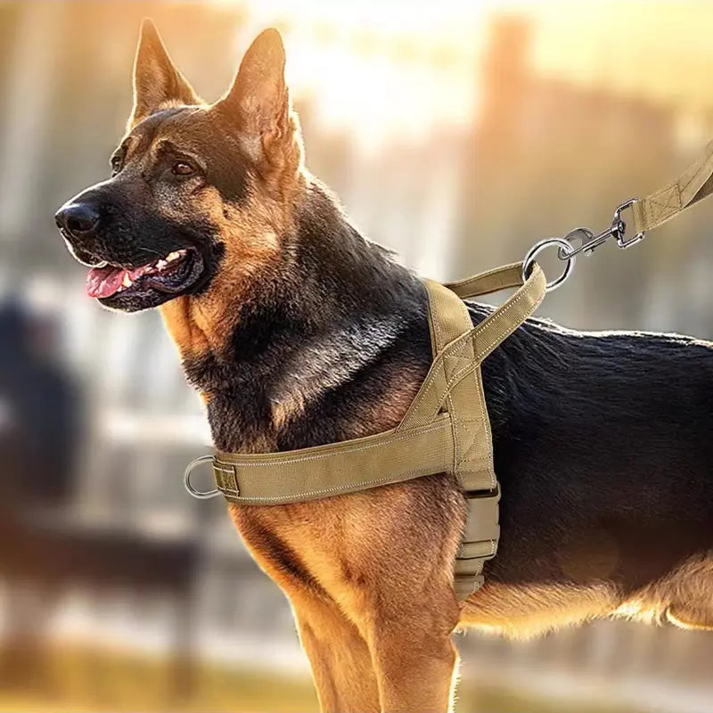 Lightweight Nylon No-Pull Adjustable Dog Harness - Chafe-Resistant, Secure Control, Quick Release Vest with Reflective Features for Daily Walks and Camping (Solid, S/M Sizes, Multi-Breed Fit)